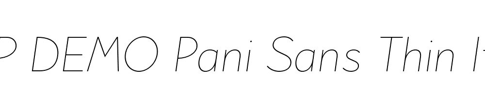 FSP DEMO Pani Sans Thin Italic