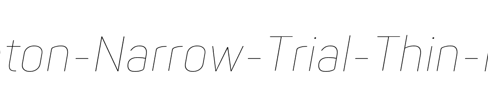 Panton-Narrow-Trial-Thin-Italic