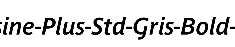 Parisine-Plus-Std-Gris-Bold-Italic