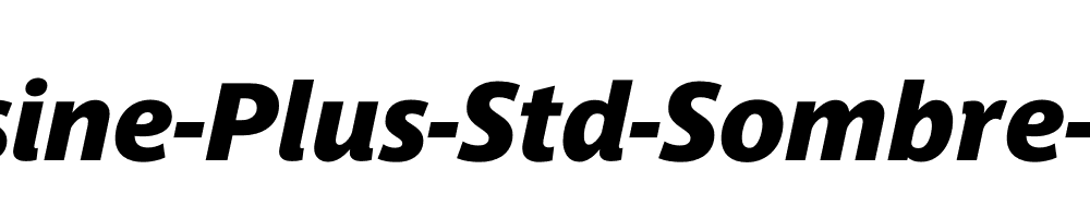 Parisine-Plus-Std-Sombre-Italic