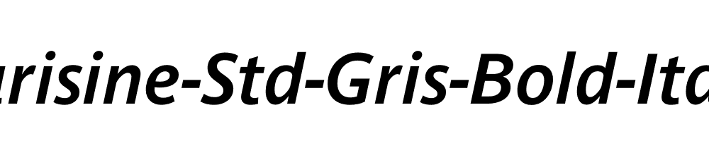 Parisine-Std-Gris-Bold-Italic