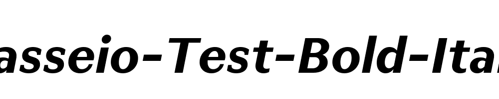 Passeio-Test-Bold-Italic