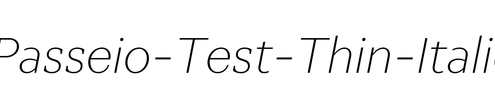 Passeio-Test-Thin-Italic