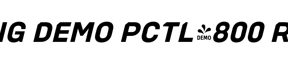  DEMO PCTL4800 Rg Bold Italic