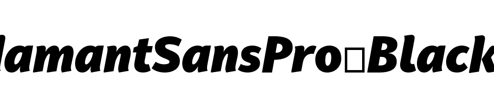 PFAdamantSansPro-BlackItalic