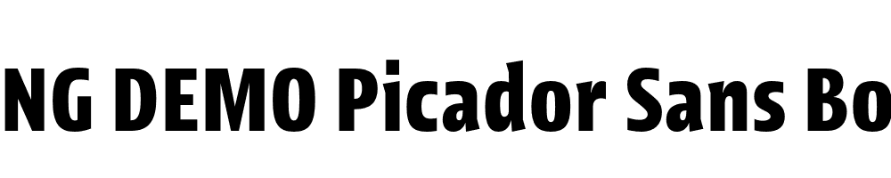  DEMO Picador Sans Bold Regular