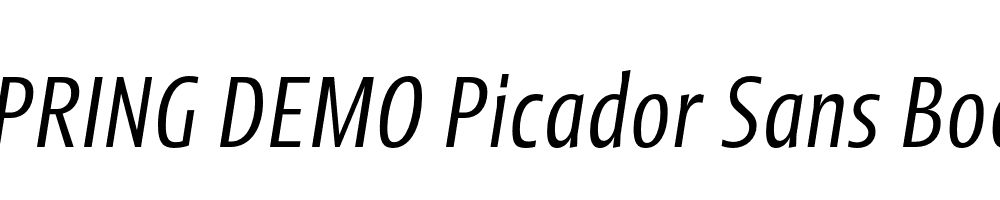  DEMO Picador Sans Book Italic