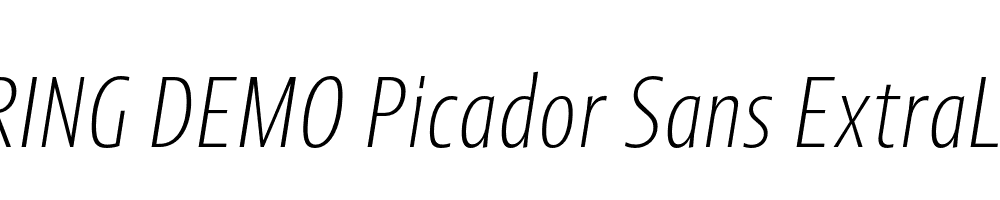  DEMO Picador Sans ExtraLight Italic