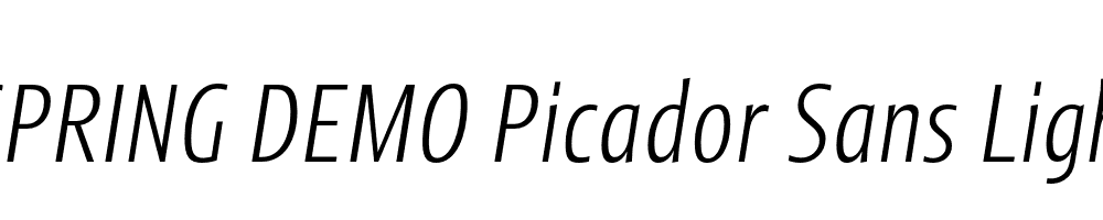  DEMO Picador Sans Light Italic