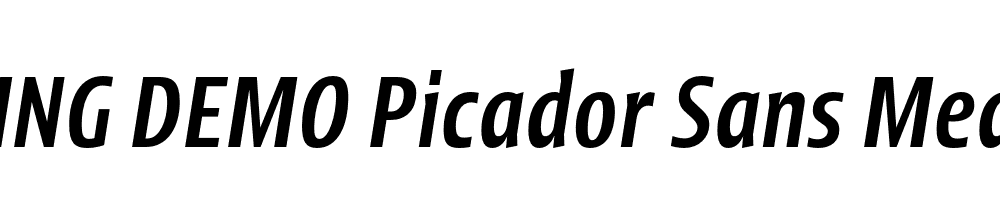  DEMO Picador Sans Medium Italic