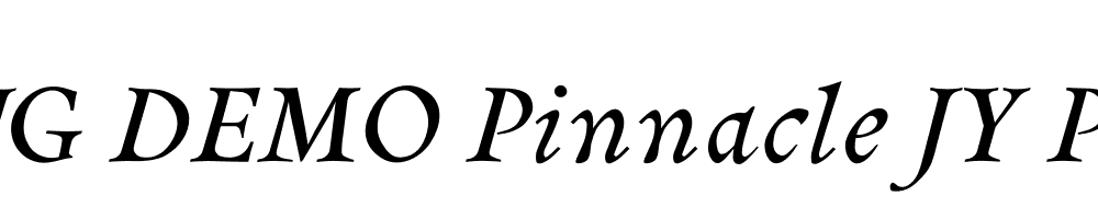  DEMO Pinnacle JY Pro Bold Italic