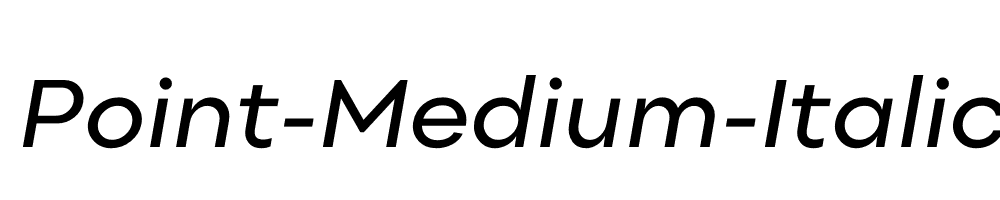 Point-Medium-Italic