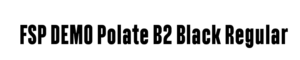 FSP DEMO Polate B2 Black Regular