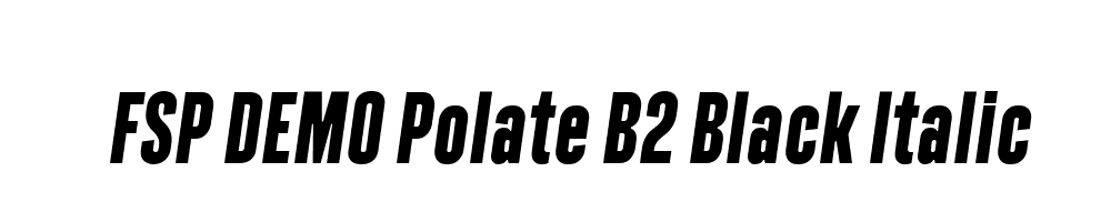 FSP DEMO Polate B2 Black Italic