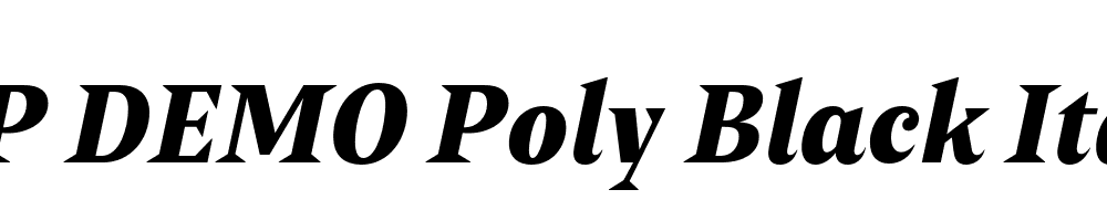 FSP DEMO Poly Black Italic