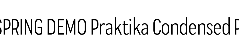  DEMO Praktika Condensed Regular