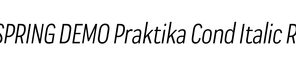  DEMO Praktika Cond Italic Regular