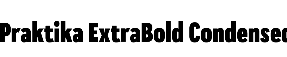  DEMO Praktika ExtraBold Condensed Regular