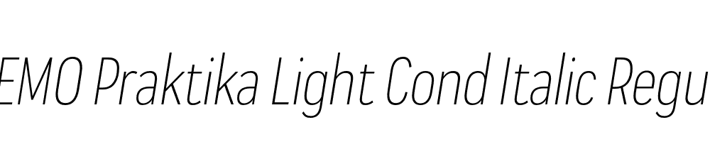  DEMO Praktika Light Cond Italic Regular