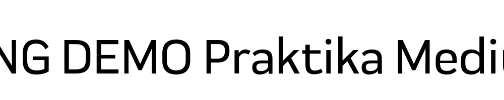  DEMO Praktika Medium Regular