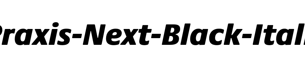 Praxis-Next-Black-Italic