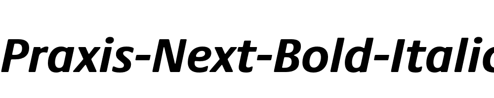 Praxis-Next-Bold-Italic