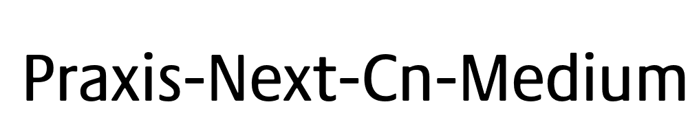 Praxis-Next-Cn-Medium