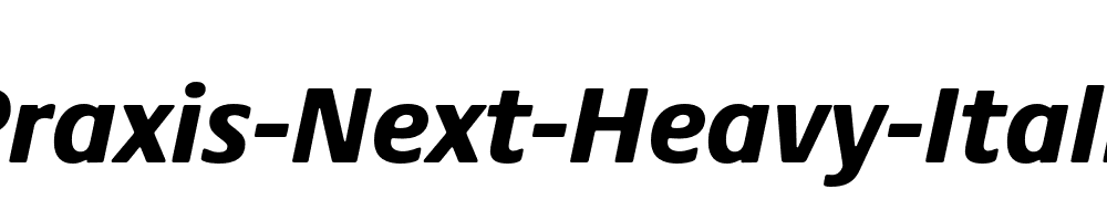 Praxis-Next-Heavy-Italic