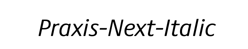 Praxis-Next-Italic