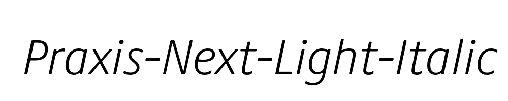 Praxis-Next-Light-Italic