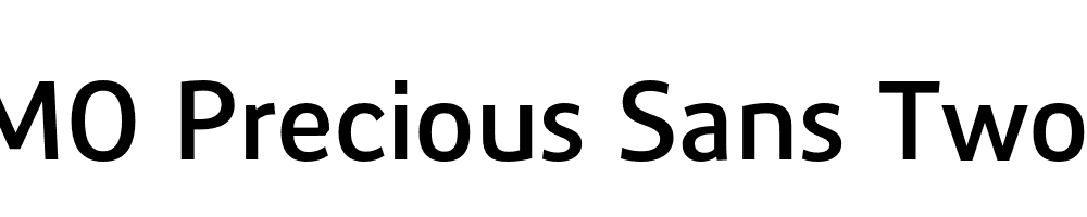 FSP DEMO Precious Sans Two Regular