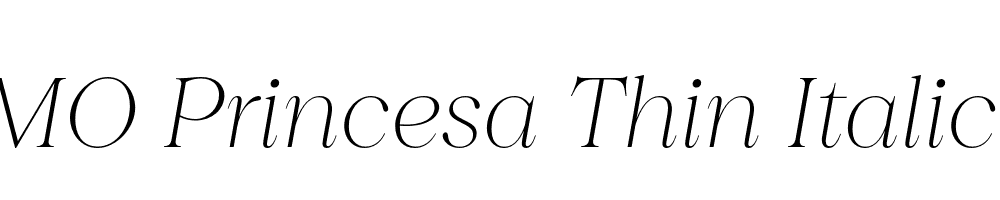 FSP DEMO Princesa Thin Italic Regular