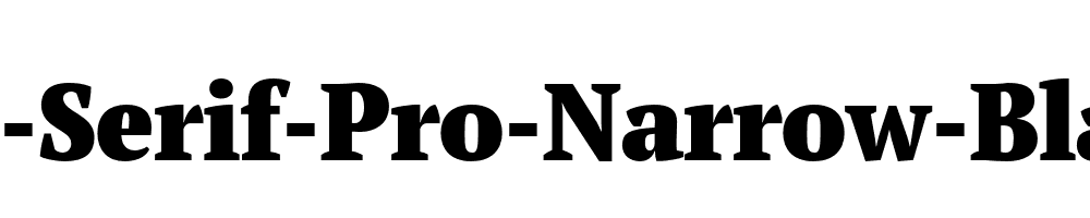 PT-Serif-Pro-Narrow-Black