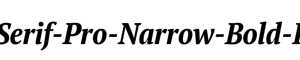 PT-Serif-Pro-Narrow-Bold-Italic