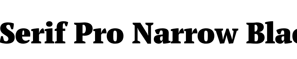  DEMO PT Serif Pro Narrow Black Regular