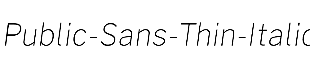 Public-Sans-Thin-Italic