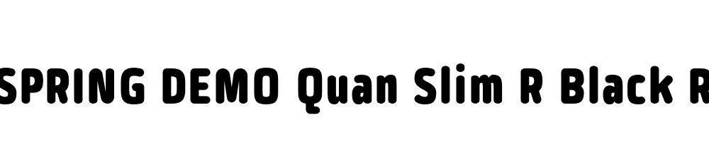  DEMO Quan Slim R Black Regular