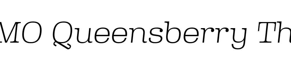 FSP DEMO Queensberry Thin Italic