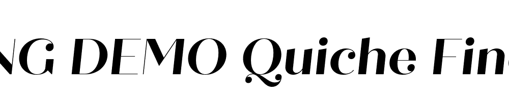  DEMO Quiche Fine Bold Italic