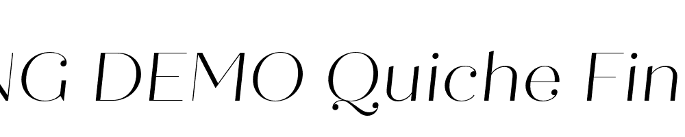  DEMO Quiche Fine Light Italic