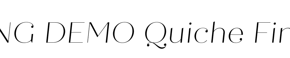  DEMO Quiche Fine Thin Italic