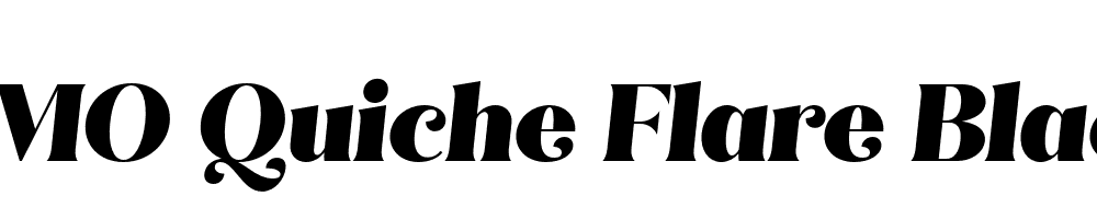 FSP DEMO Quiche Flare Black Italic