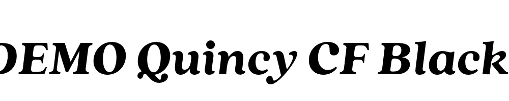 FSP DEMO Quincy CF Black Italic