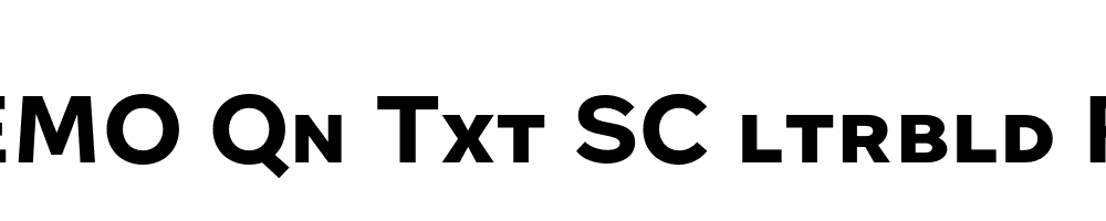 FSP DEMO Qn Txt SC ltrbld Regular