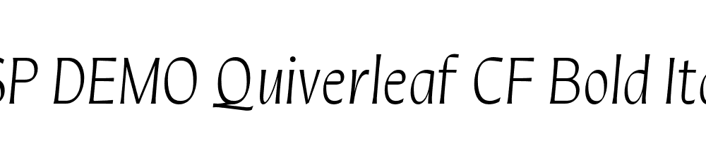 FSP DEMO Quiverleaf CF Bold Italic