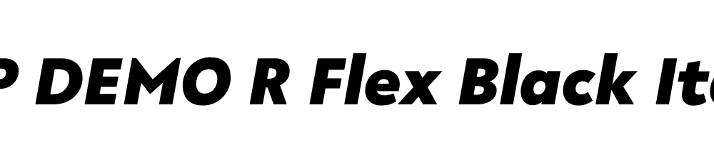 FSP DEMO R Flex Black Italic