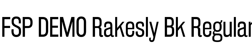 FSP DEMO Rakesly Bk Regular