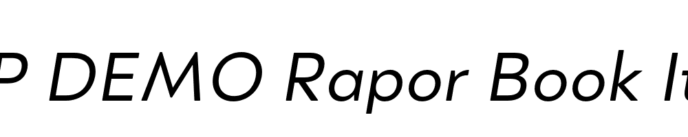 FSP DEMO Rapor Book Italic