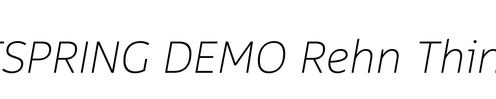  DEMO Rehn Thin Italic