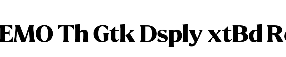 FSP DEMO Th Gtk Dsply xtBd Regular